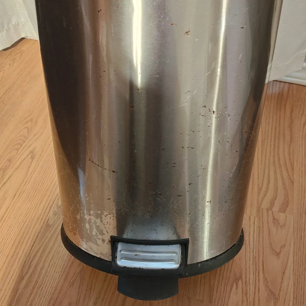 Stainless Steel Hands Free Trash Can with Black Lid